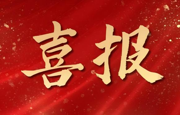 TOP 12！中節(jié)能?chē)?guó)禎榮登中國(guó)品牌價(jià)值 “其他服務(wù)類(lèi)”